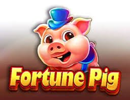 Privacy, account safety and responsible gaming on the bdpop slots page